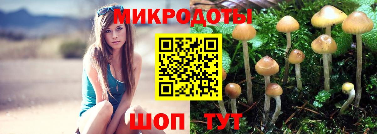 Псилоцибиновые грибы Psilocybe  Галлюциногенные грибы прущие грибы  Югорск  Вход с VPN 